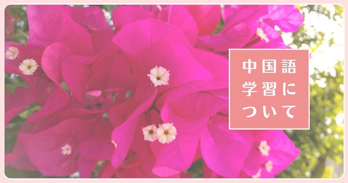 ブーゲンビレア